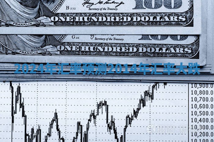 2024年汇率预测 2014年汇率大跌