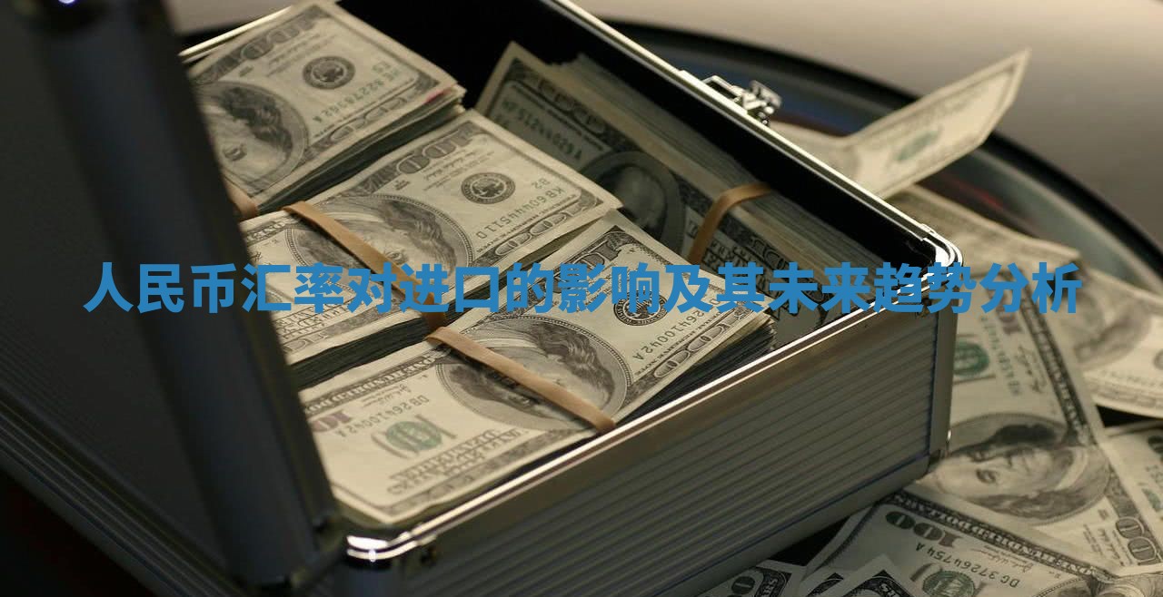 人民币汇率对进口的影响及其未来趋势分析
