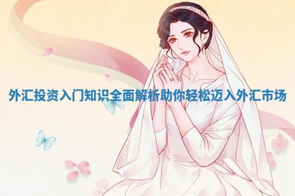 外汇投资入门知识全面解析助你轻松迈入外汇市场