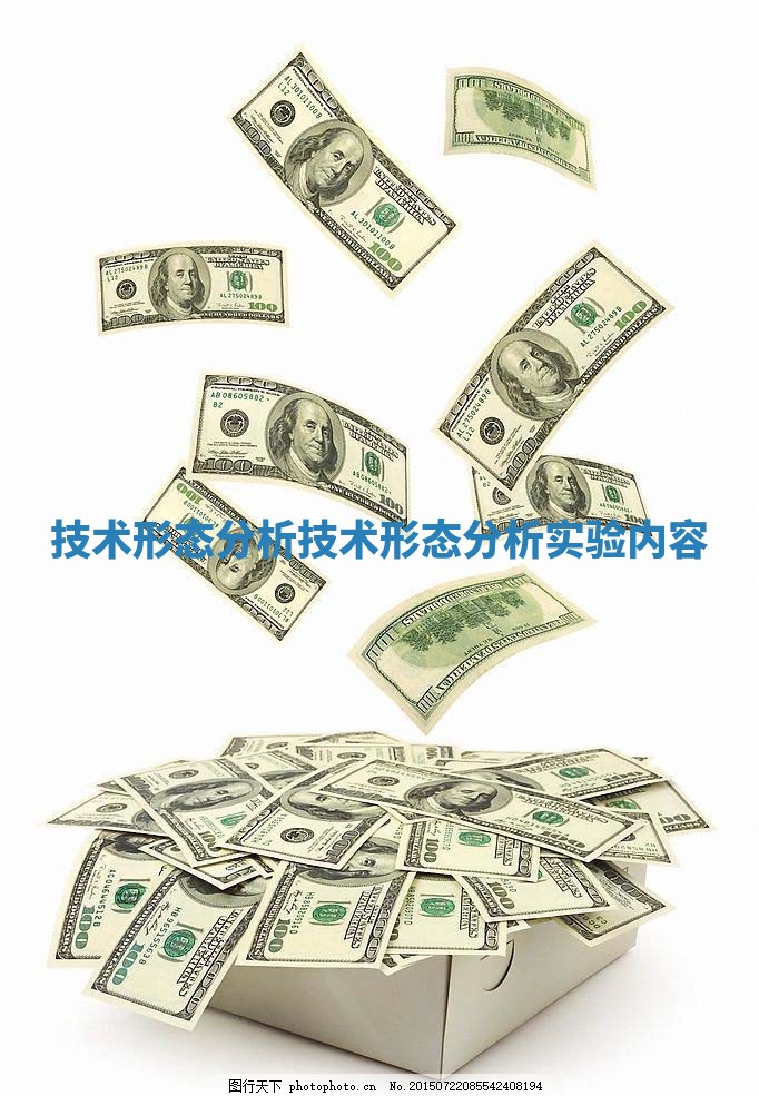 技术形态分析_技术形态分析实验内容