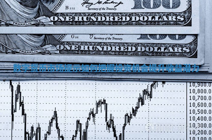 数字货币市场提示如何把握投资机会提升收益潜力