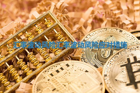 汇率波动风险_汇率波动风险应对措施