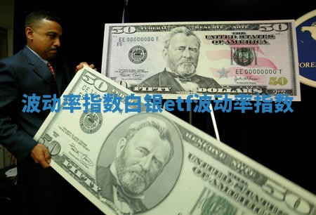 波动率指数 白银etf波动率指数