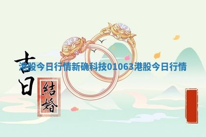 港股今日行情 新确科技01063港股今日行情